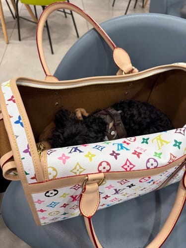 Customer photo review of LOUINZKA BAG