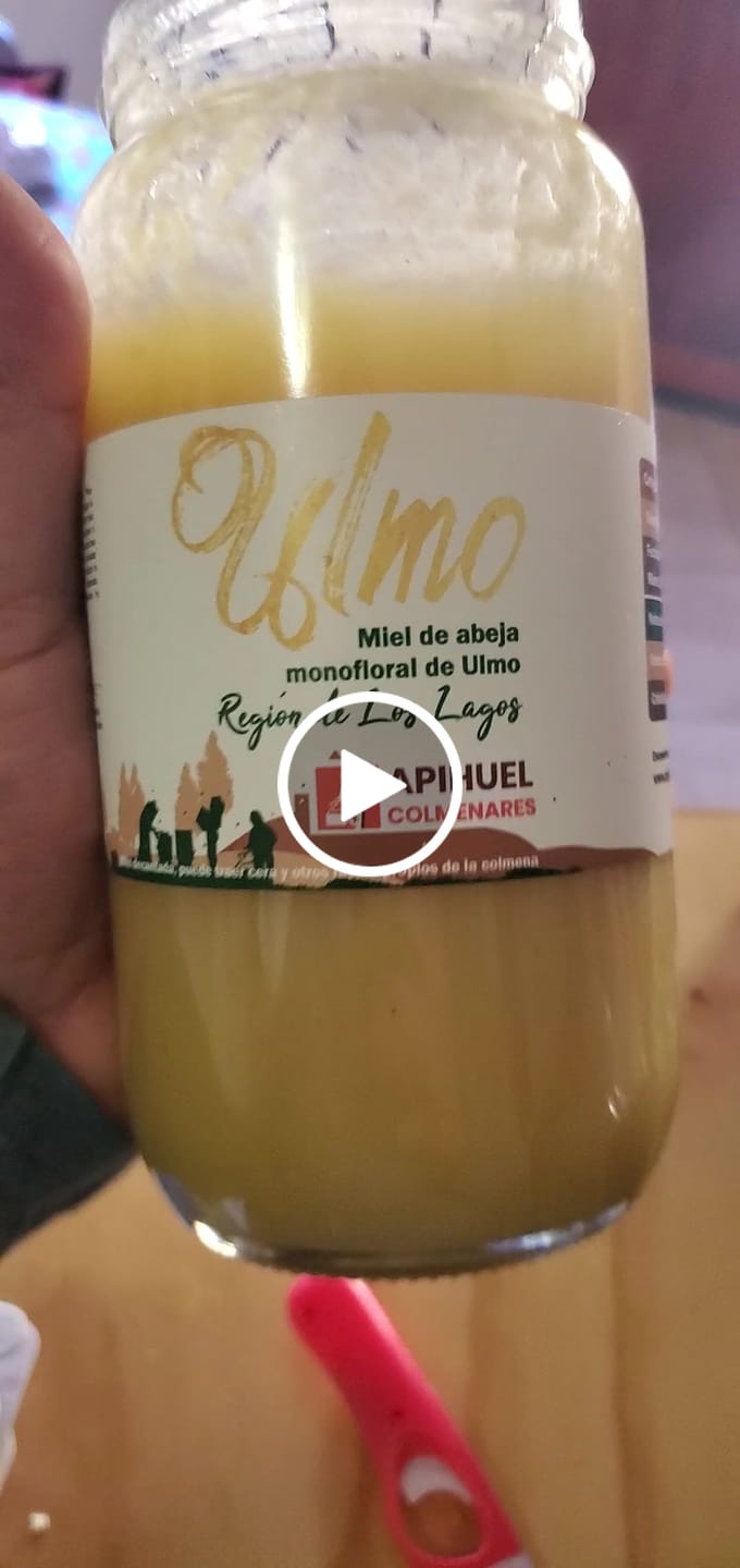 Customer video review of Miel de Ulmo 1.3 kg