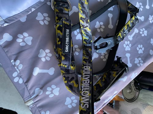 Tracey E. review of 1.4m Swivel Combat Lead | Anti-Tangle & Secure Clip - Lightning image 1 out of 1