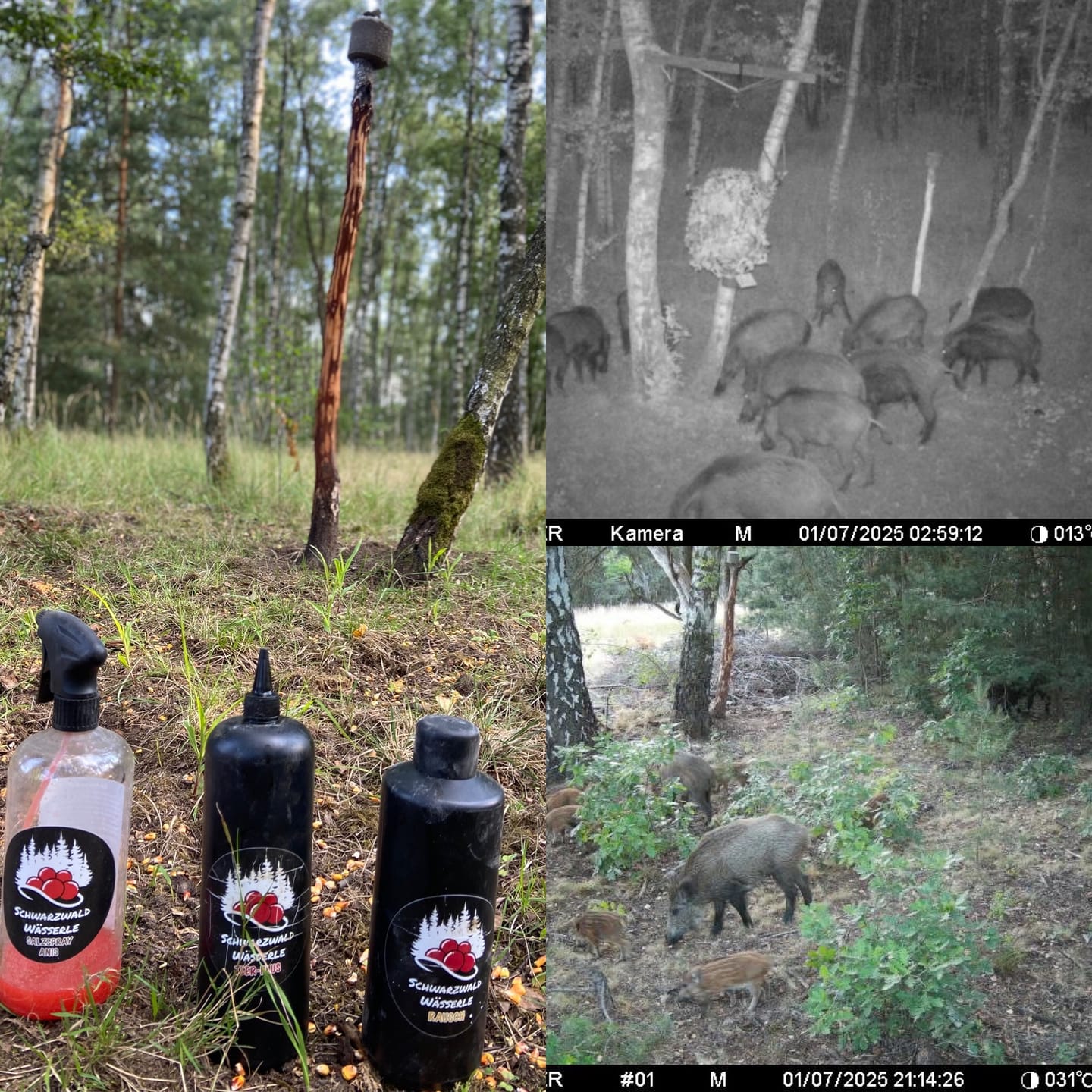 Customer photo review of Rausch - Lockmittel Schwarzwild, Rehwild, Rotwild und Damwild
