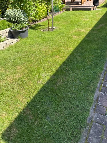Kundenbewertung mit Foto zu RASENBLITZ™ - GANZJAHRESDÜNGER