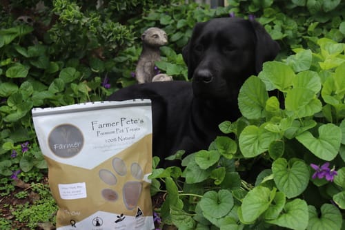 Customer photo review of Chicken Meaty Bites