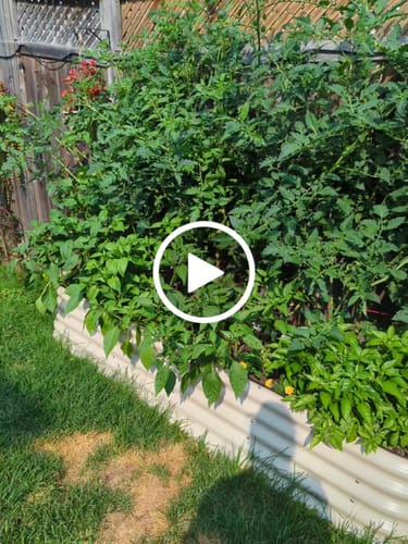 Customer video review of 17” Tall Modular 9 in 1