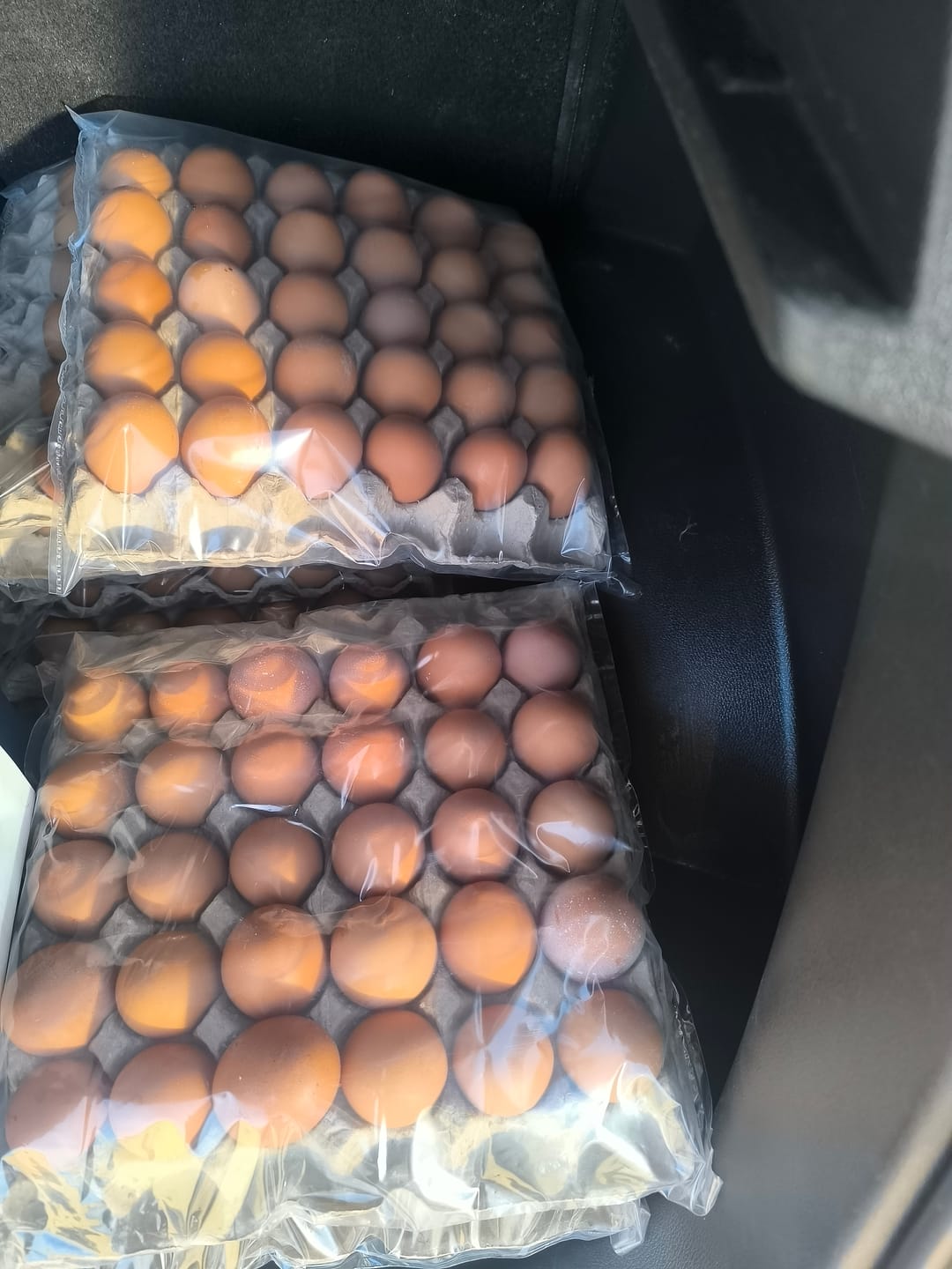 Customer photo review of Avi Plus Layer & Breeder (Supplement For Poultry, Ostriches, Emus & Pigeons)