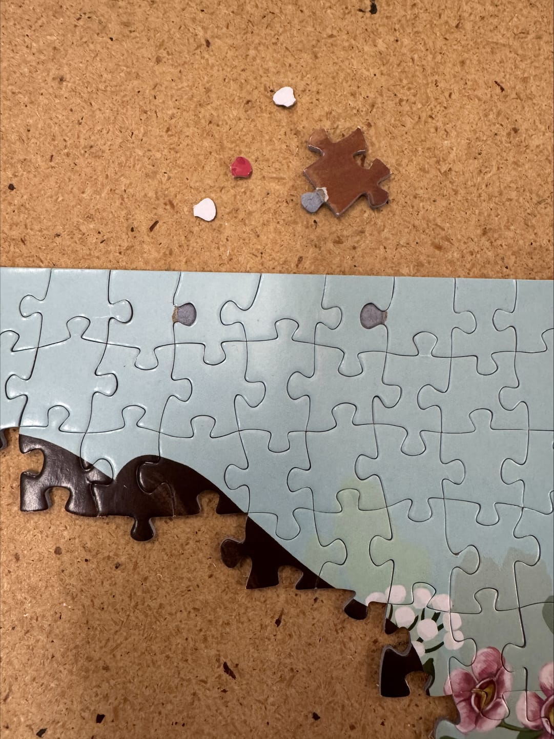 Customer photo review of Puzzle 1000 Sacred Country Vol.2