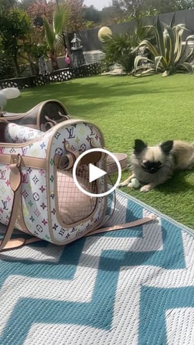 Customer photo review of LOUINZKA BAG