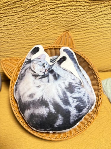 Customer photo review of 本物そっくり♪ペットクッション