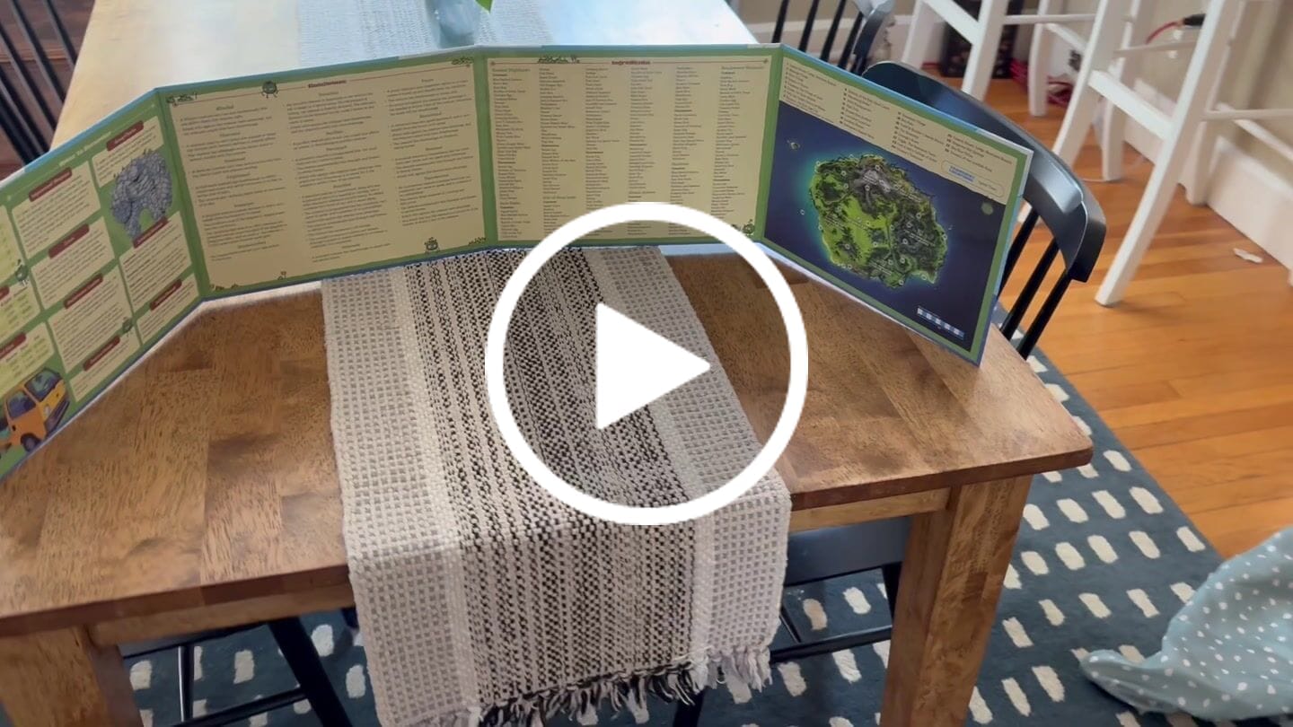 Customer video review of DM Screen (Preorder August 2025)