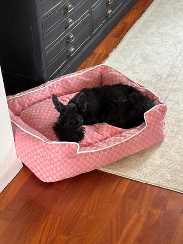 Customer photo review of GUCCINORA BED