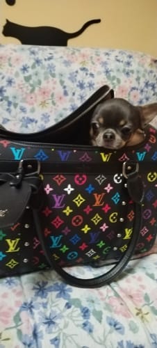 Customer photo review of LOUINZKA BAG