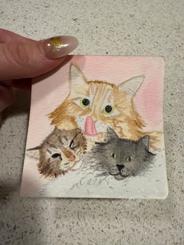 Customer photo review of Tobio's™ Watercolor Kit