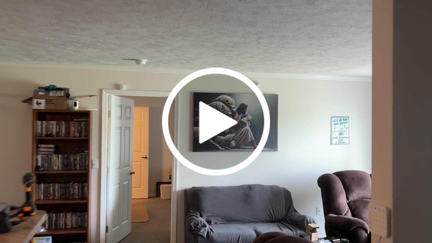 Customer video review of Jesus Protects The Lamb From Wolves Wall Art Canvas