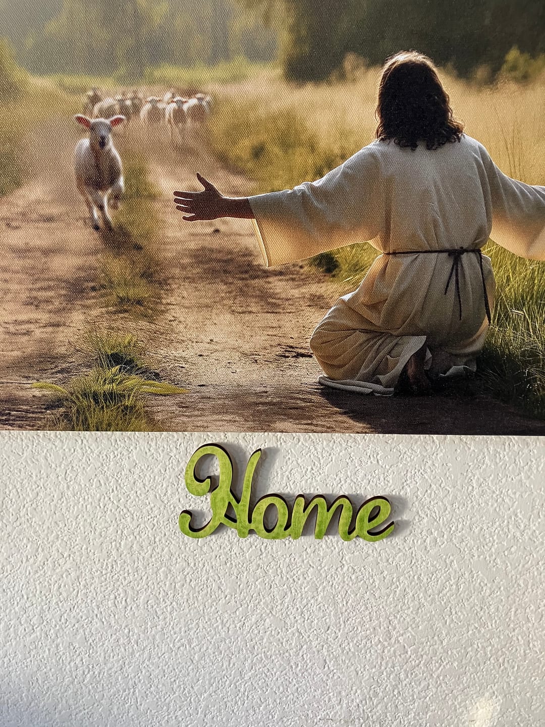 Customer photo review of Lamb Runs to Jesus Wall Art Canvas