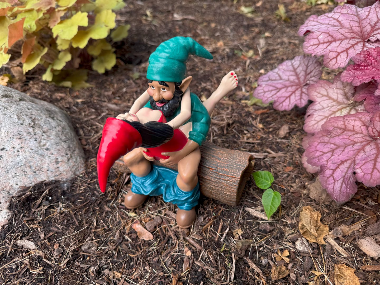 Customer photo review of Gift a Gnaughty Gnome