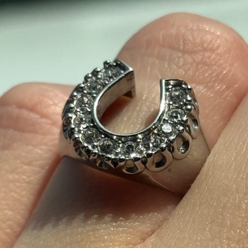 Customer photo review of Lady Luck Silver