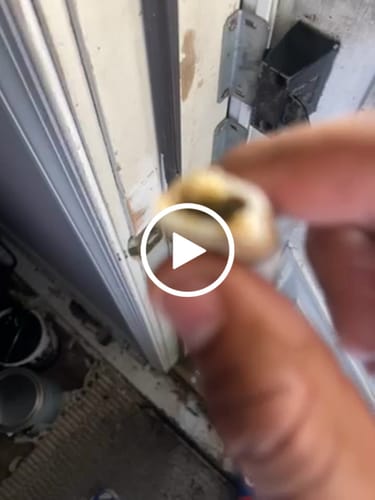 Customer video review of Exotic Shake