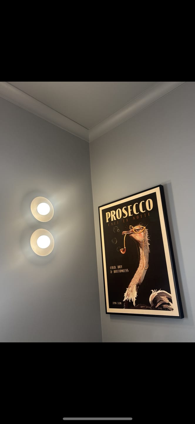 Customer photo review of Cute Art Deco Prosecco Poster Of An Ostrich