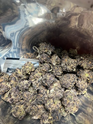 Customer photo review of Blizzard Berry