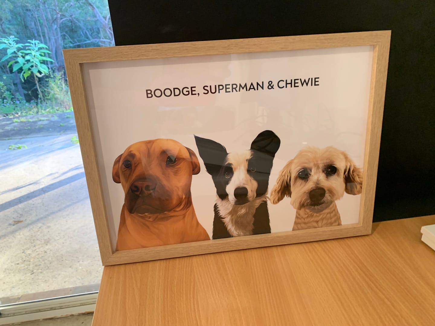 Customer photo review of 3 Pets