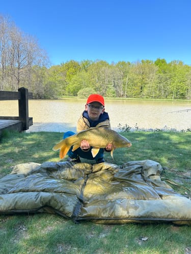 Customer photo review of PELLETS PEPPER PULSE