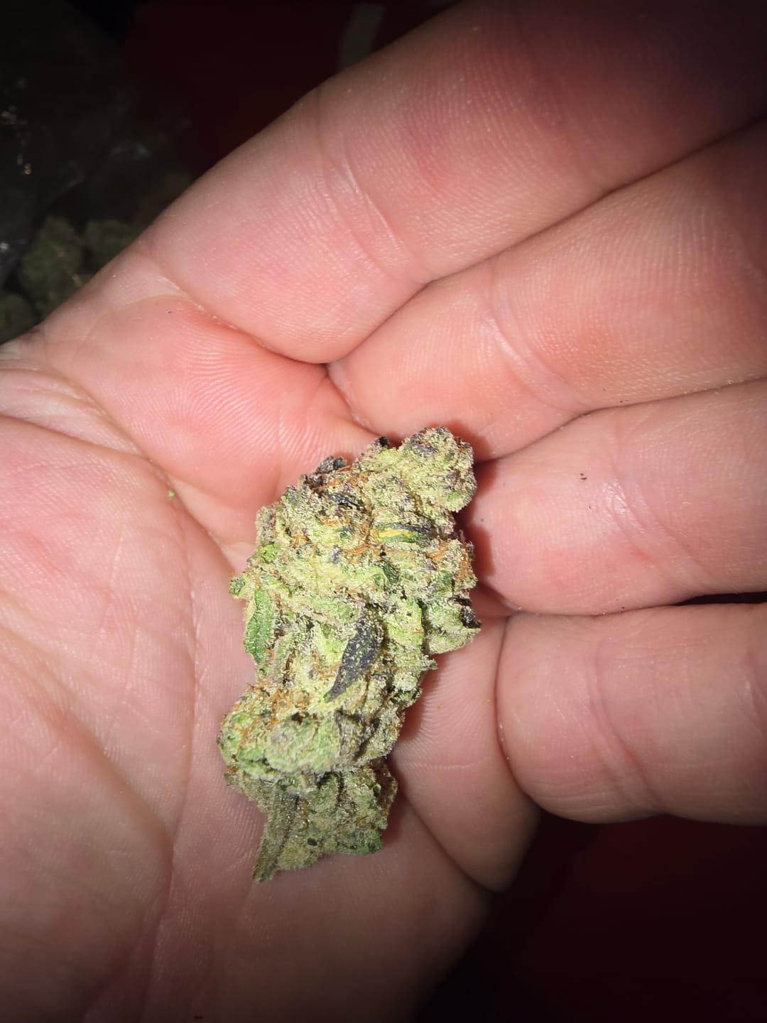 Customer photo review of Pineapple Express