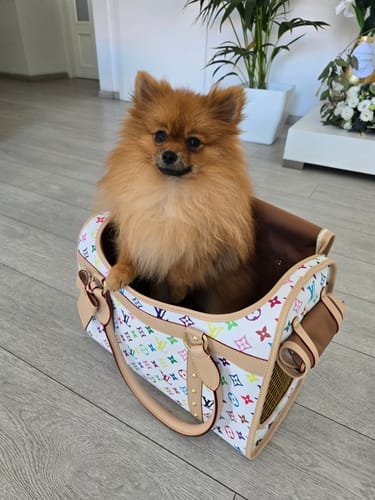 Customer photo review of LOUINZKA BAG