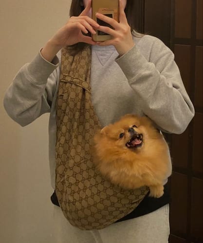 Customer photo review of GUNA DOG CARRIER
