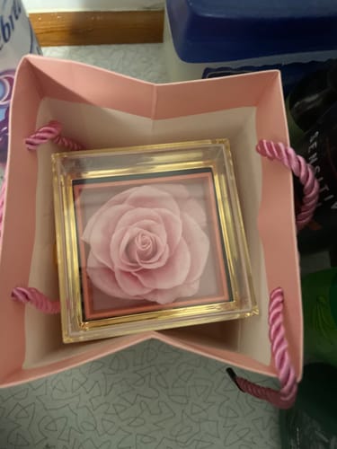 Customer photo review of Shipping Protection