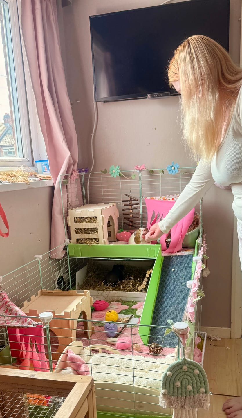 Customer photo review of 4x2 C&C Cage with Stand