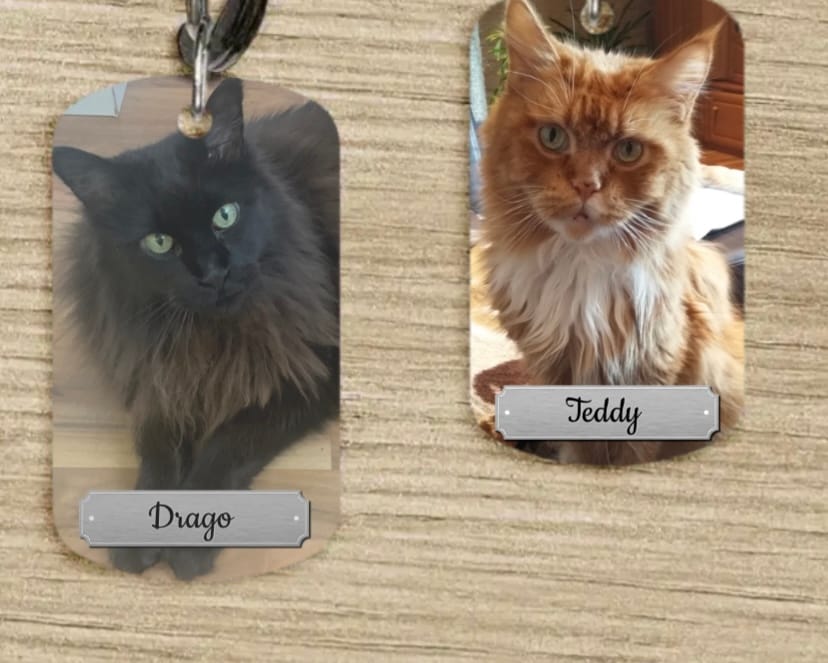 Customer photo review of Doppeltes Foto - Individueller Dog Tag Schlüsselanhänger