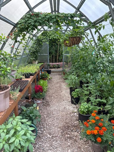 Customer photo review of Tundra™ Hybrid Fertilizer For Fruit & Flower Development