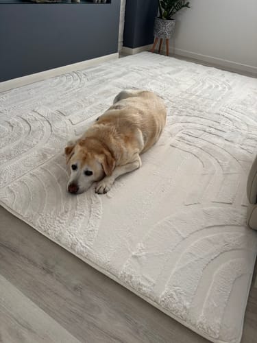 Customer photo review of The Mellow Mat® Cloud Haven 3D (Soft Touch Sensory Tatami Rug)