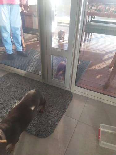 Customer photo review of FREE - Security Pack