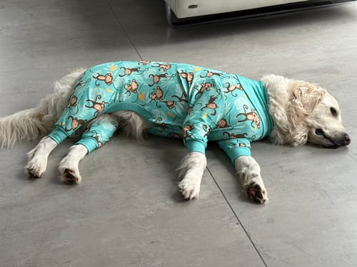 Customer photo review of Dog Pajama - Monkey Business