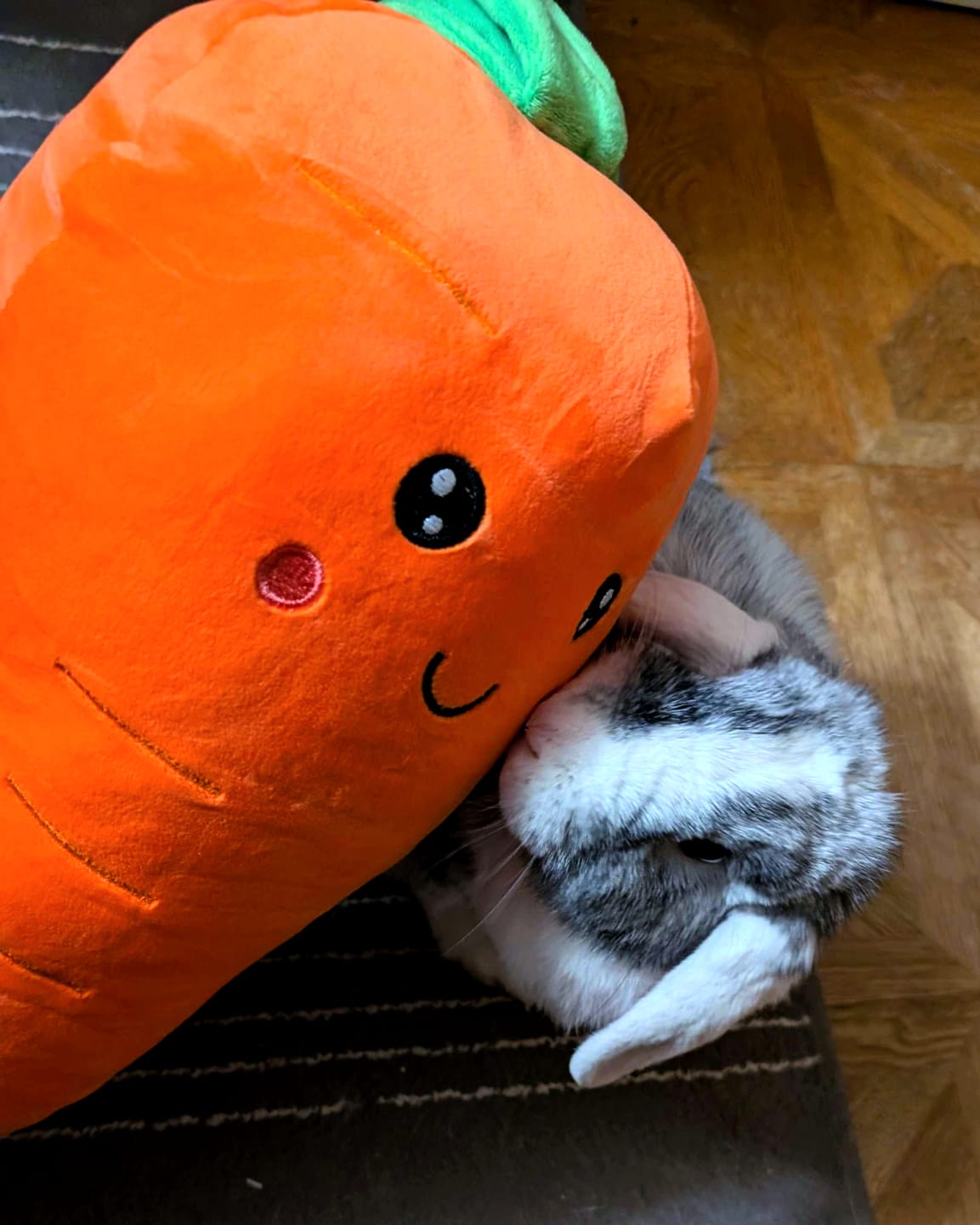 Customer photo review of Giant Carrot Plush (3 SIZES)