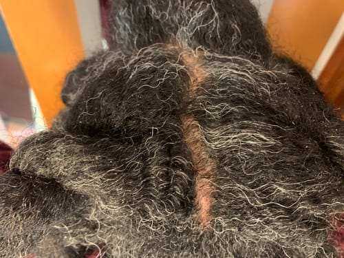 Customer photo review of Instant Dye Shampoo