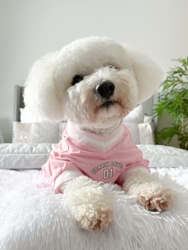 Customer photo review of Football Mesh Jersey - Pink