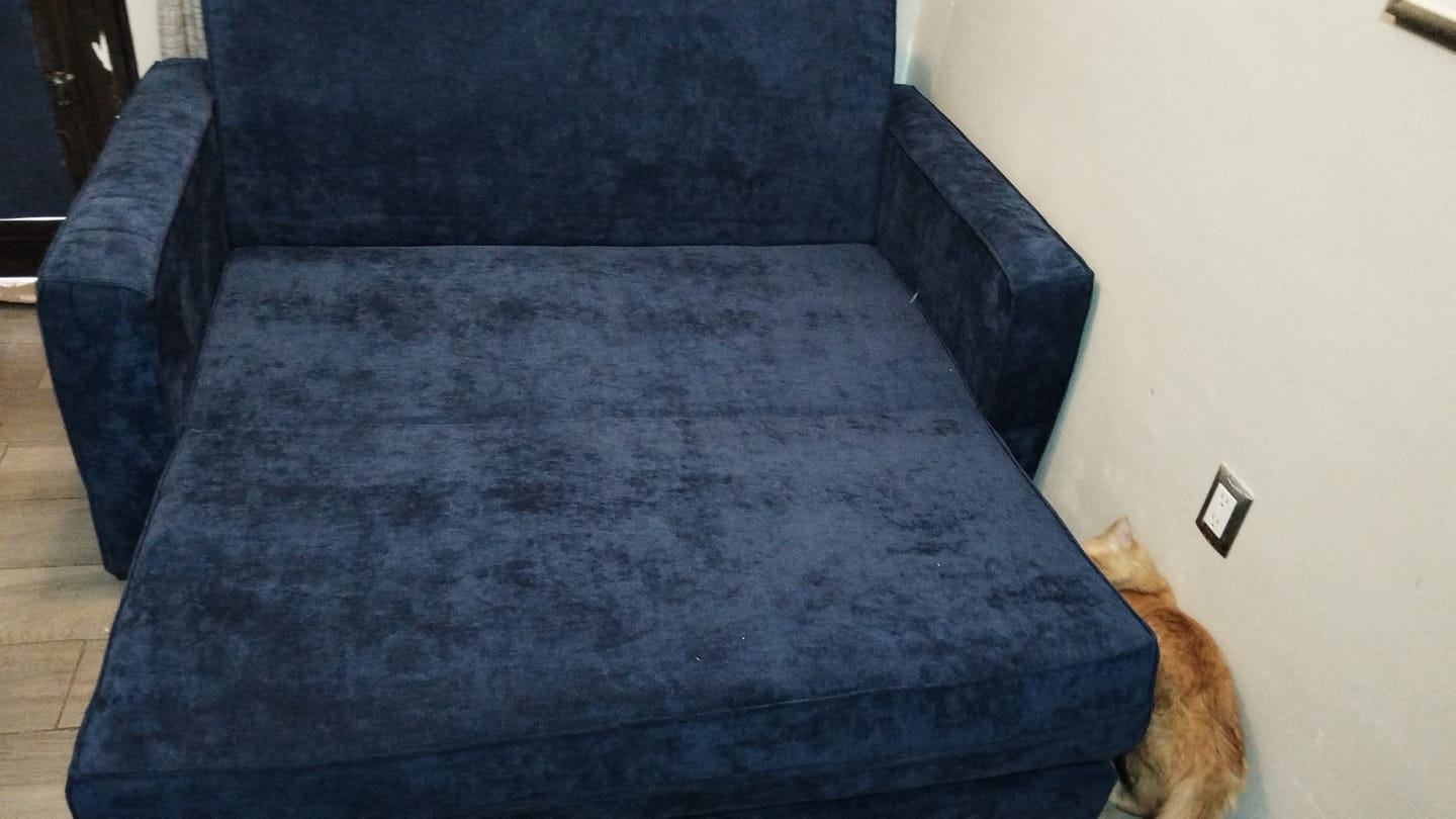Customer photo review of Sofá Cama Alexis