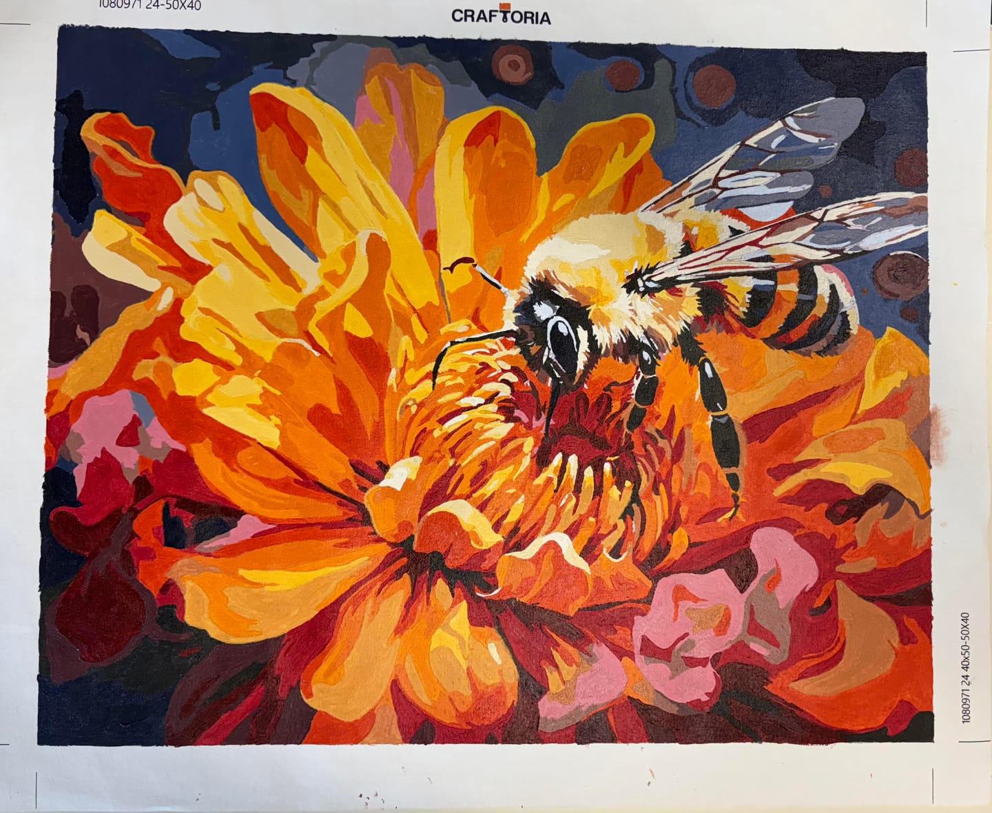 Customer photo review of Bee's Dance