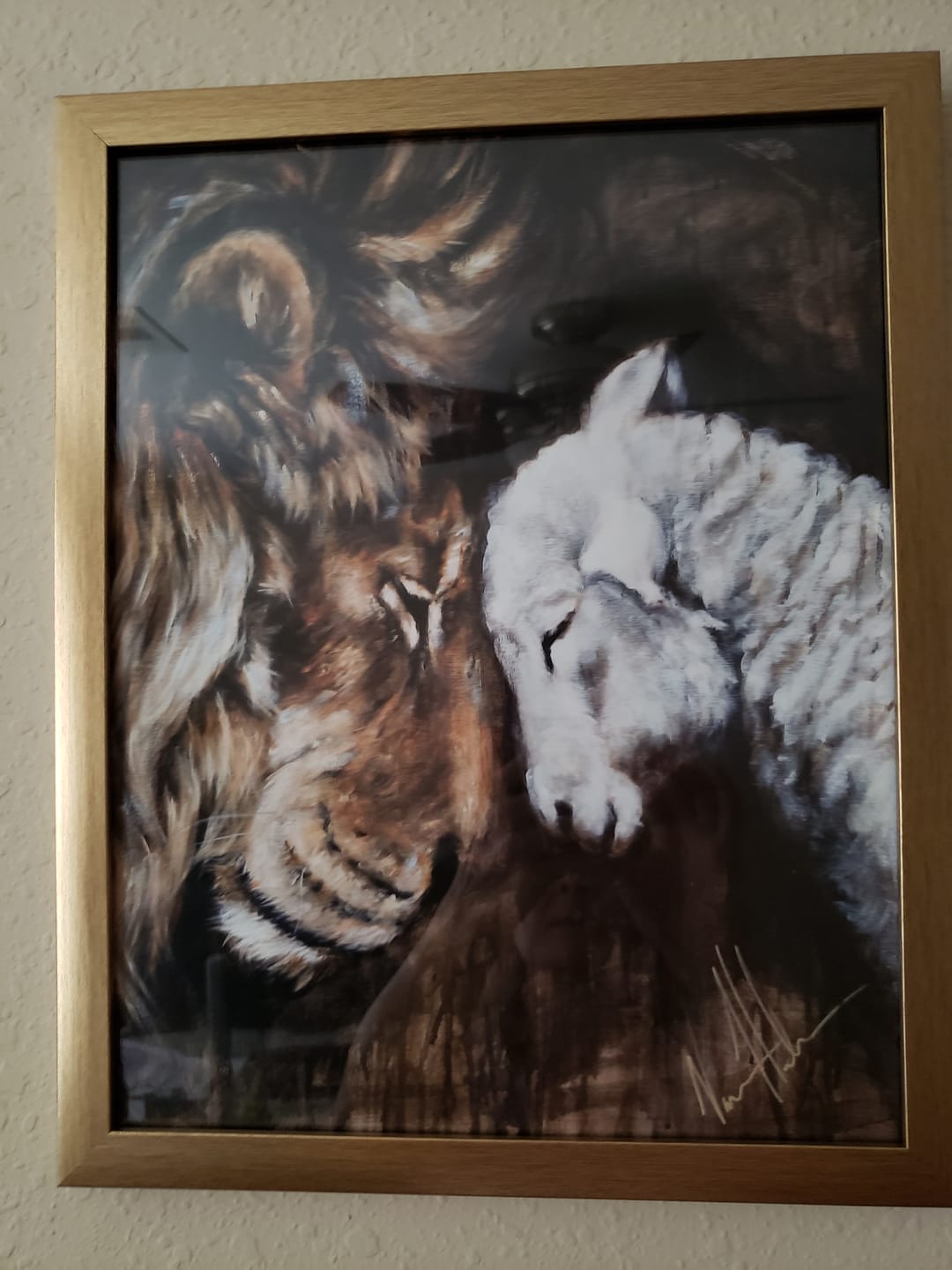 Customer photo review of Compassion of a King