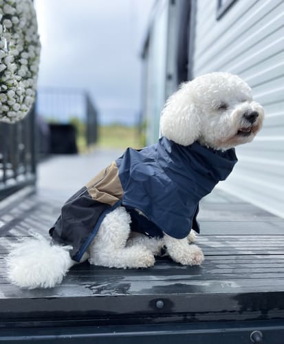 Customer photo review of Breatheshield™ Dog Raincoat - Blue Gold Black