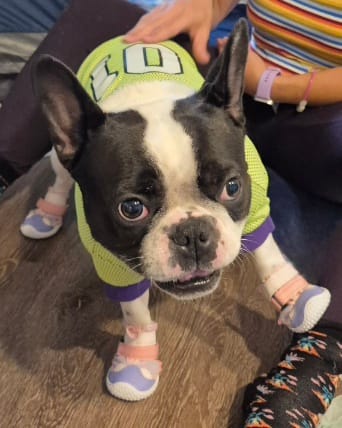 Customer photo review of Football Mesh Jersey - Lime Green