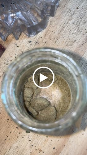 Customer video review of Shipping Protection by Route