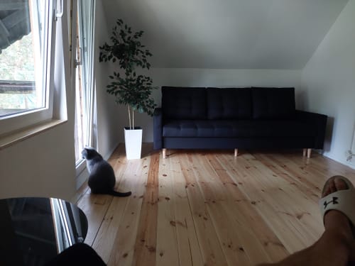 Customer photo review of Kanapa ELMA