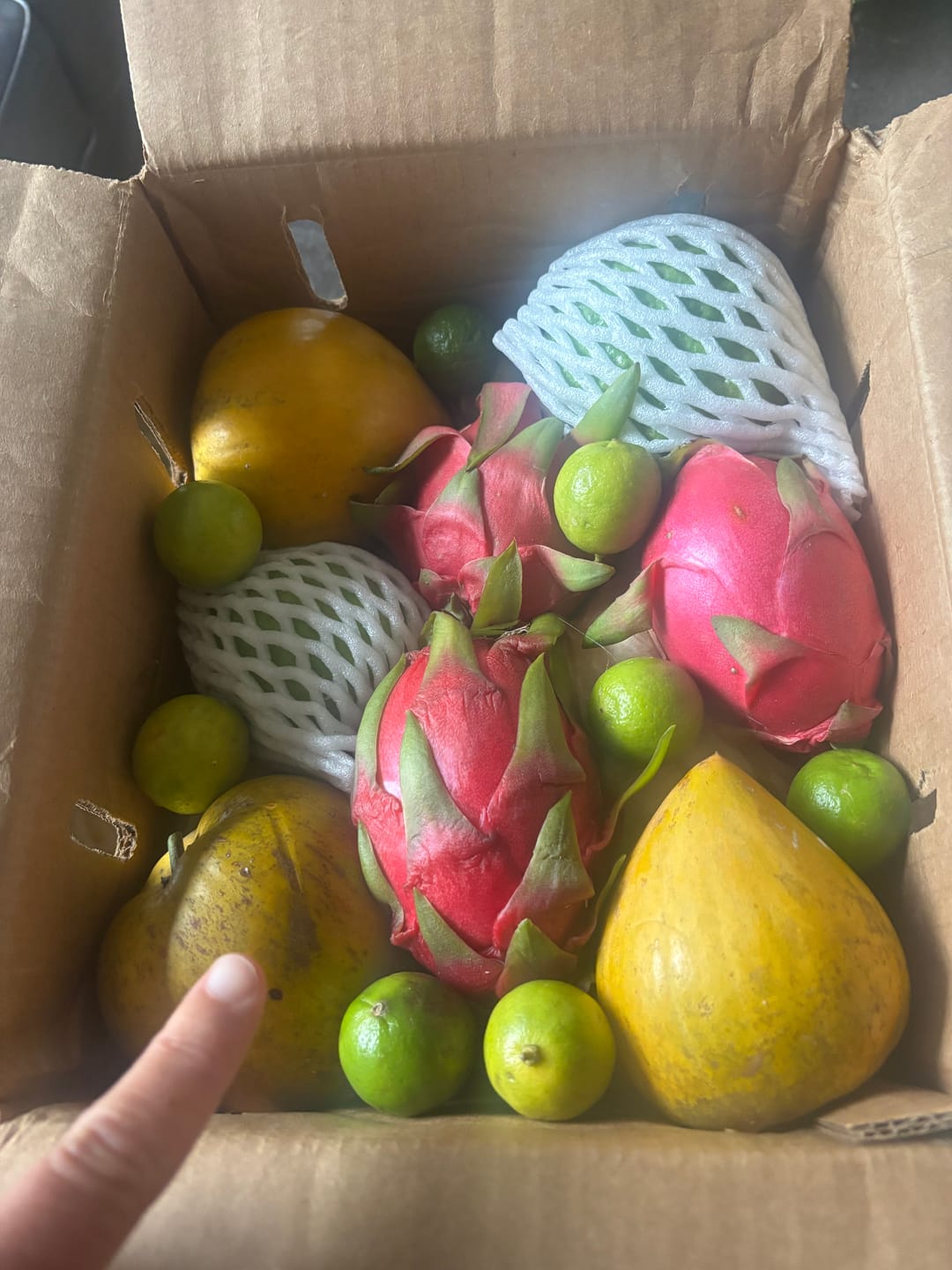 Customer photo review of Leftovers Box