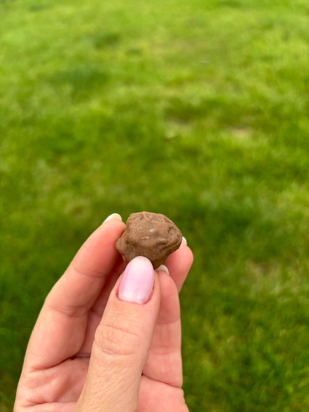 Customer photo review of BWOWNIES BITES