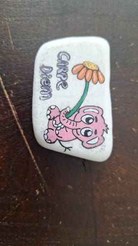 Customer photo review of Starterspakket Happy Stones + App om ze te volgen | Alles-in-1 | Stenen schilderen