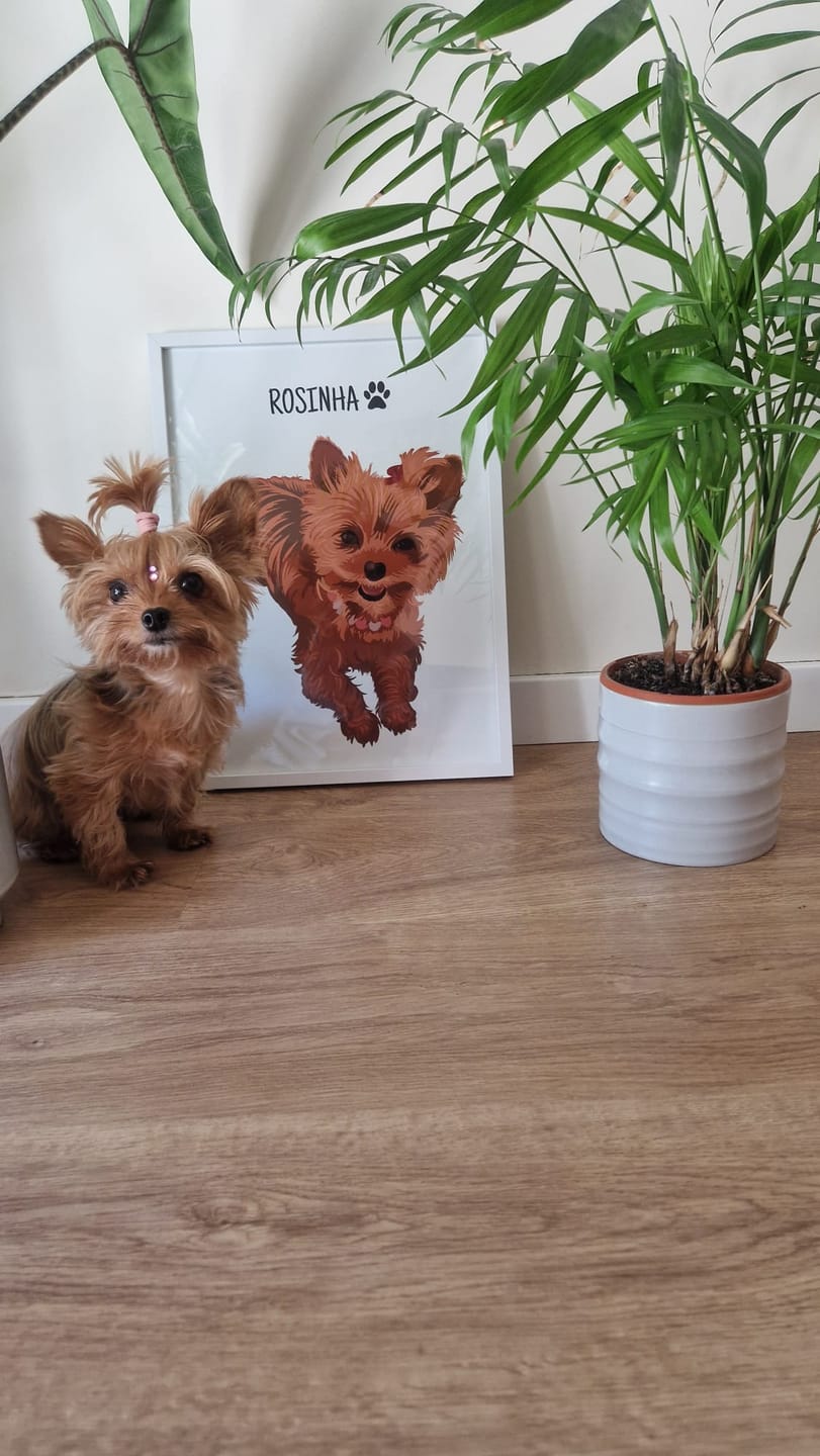Customer photo review of Quadro Retrato Colorido (1 Animal)