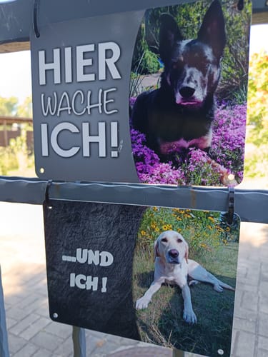 Customer photo review of Hunde-Türschild personalisiert mit Foto & Text (UV- und wetterfest)
