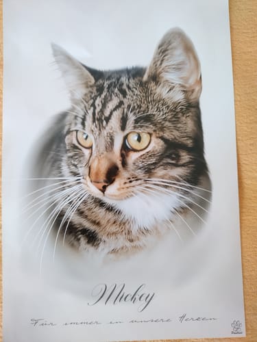 Customer photo review of Öl Pawtrait